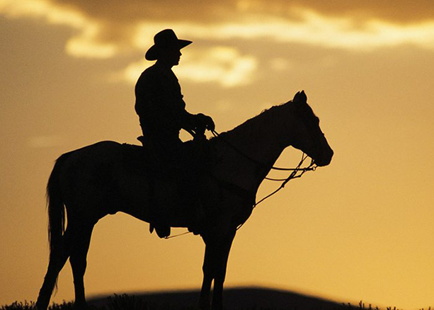 Silhouette of man riding horse during sunset