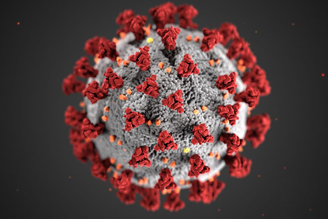 Picture of Coronavirus molecule