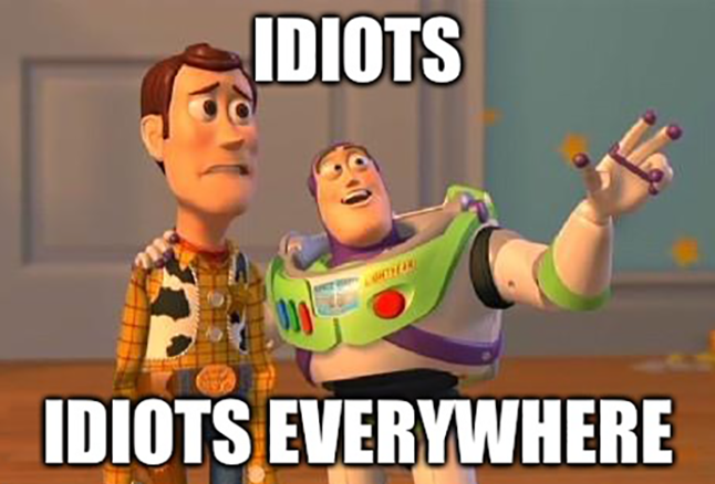 Screenshot of Buzz and Woody from Toy Story, Buzz is gesturing to the world as Woody is distraught, as text reads "Idiots. Idiots Everywhere."